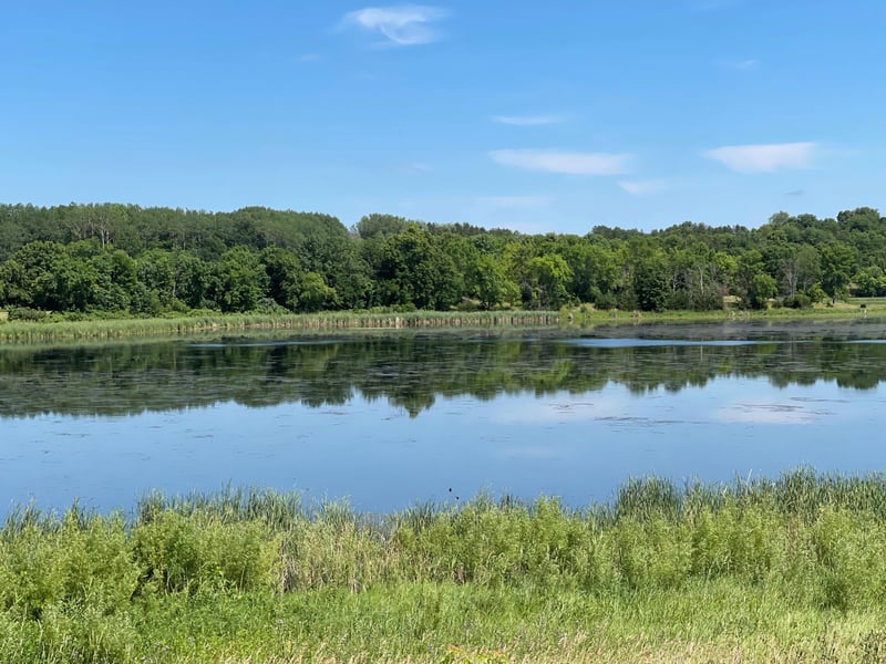 16938 207th Ave, Eden Valley, MN 55329