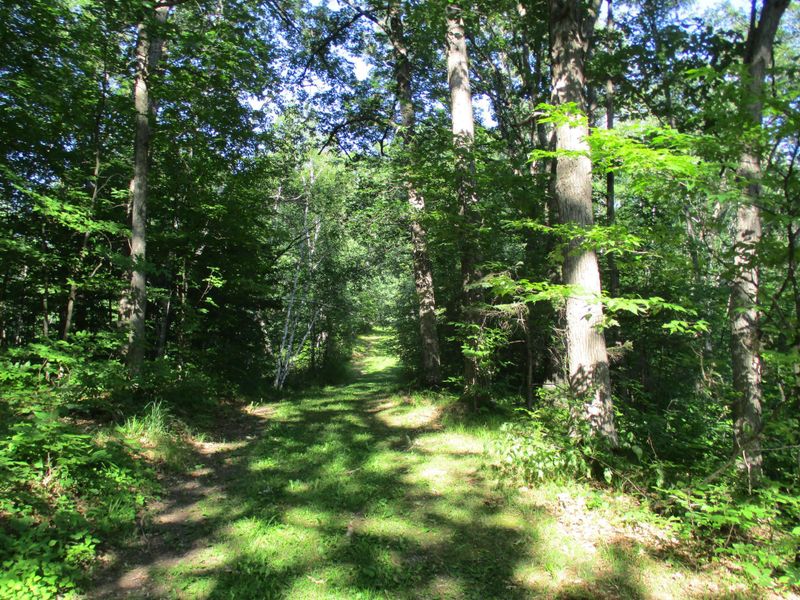 572 170th Ave, Turtle Lake, WI 54889