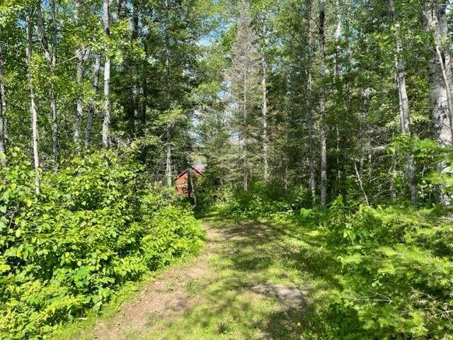 1547 Little Stone Lake Rd, Brimson, MN 55602