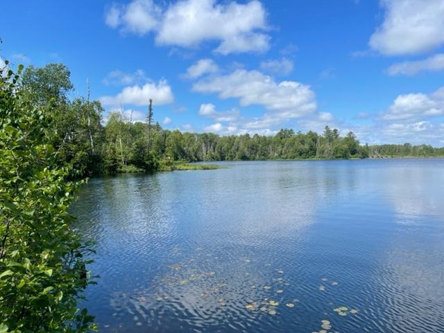 1547 Little Stone Lake Rd, Brimson, MN 55602