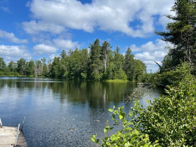1547 Little Stone Lake Rd, Brimson, MN 55602