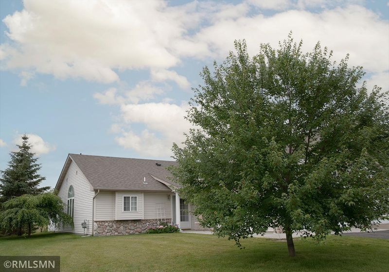202 Appaloosa Ct, Braham, MN 55006