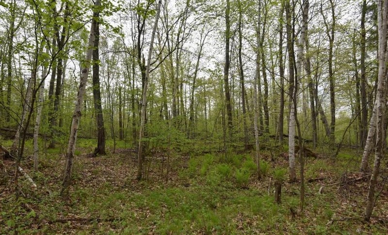 000 Parsonage Trl NE, Outing, MN 56662