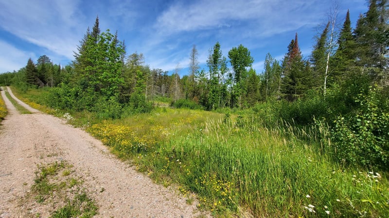 xx5 Crane Lake Rd, Crane Lake, MN 55725