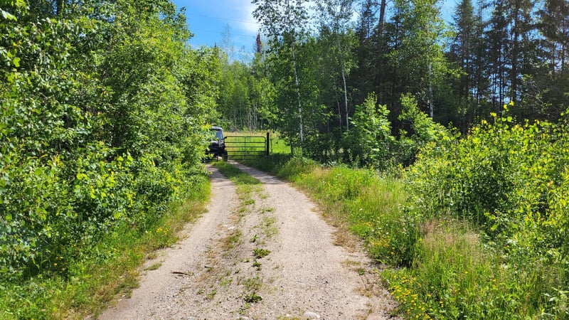 xx5 Crane Lake Rd, Crane Lake, MN 55725