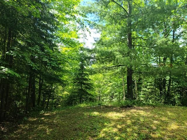 37810 North Star Lake Ln, Marcell, MN 56657