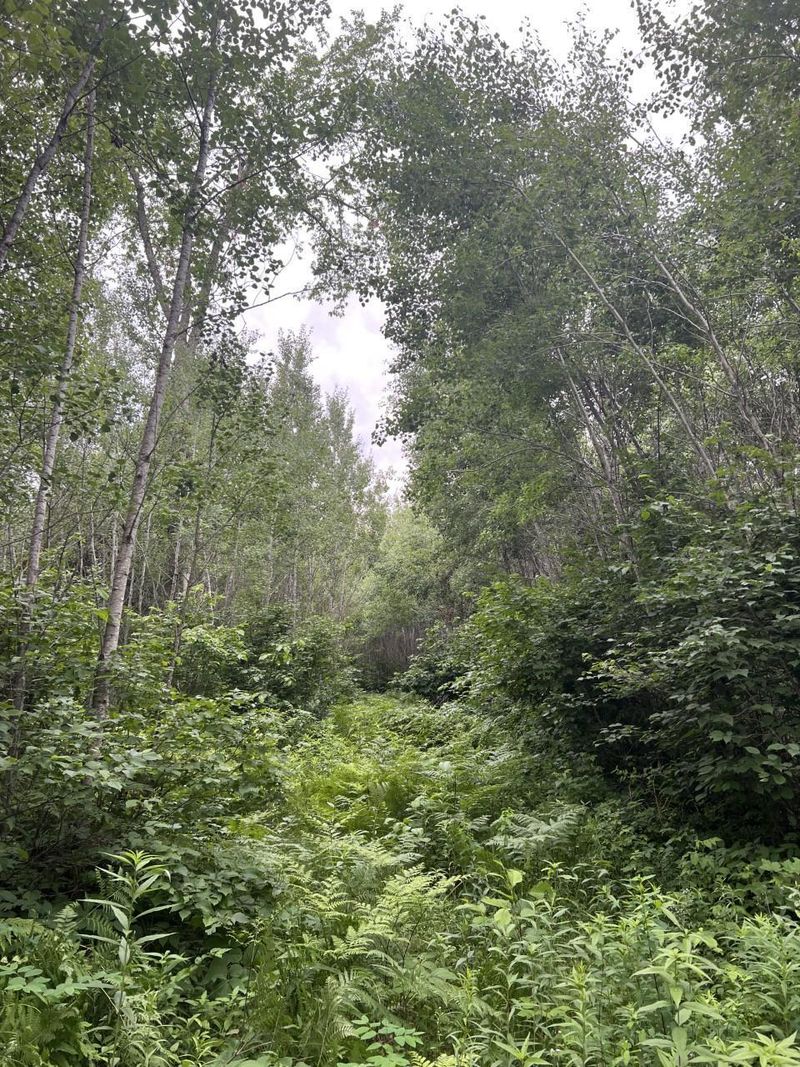 xxx Highway 2, Bena, MN 56626