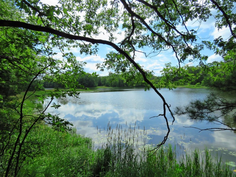 Lot10 N Sedar Trl, Barronett, WI 54813