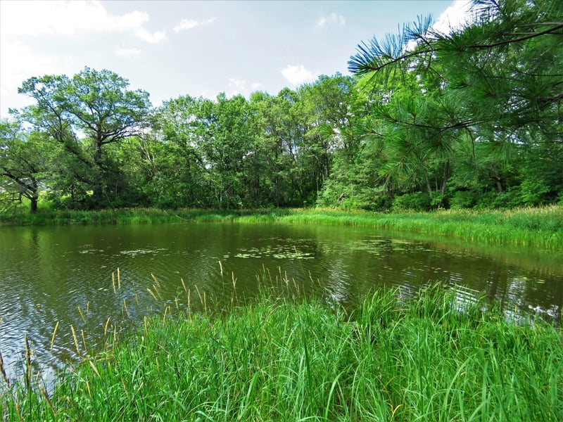 Lot10 N Sedar Trl, Barronett, WI 54813