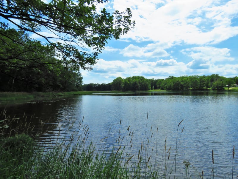 Lot10 N Sedar Trl, Barronett, WI 54813