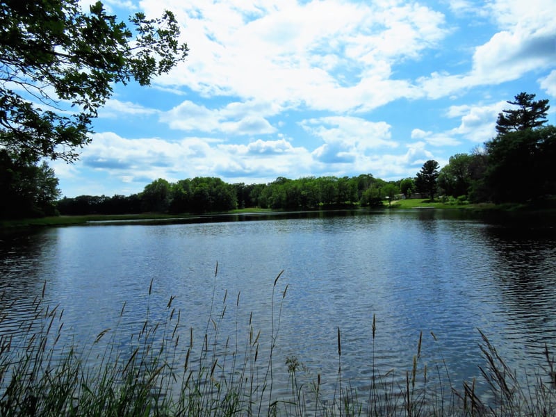Lot10 N Sedar Trl, Barronett, WI 54813