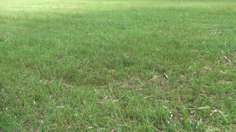 LOT 1 Jack Pine Trl, Webster, WI 54893