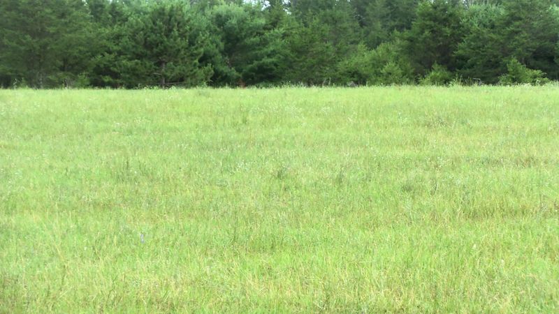 LOT 5 Jack Pine Trl, Webster, WI 54893