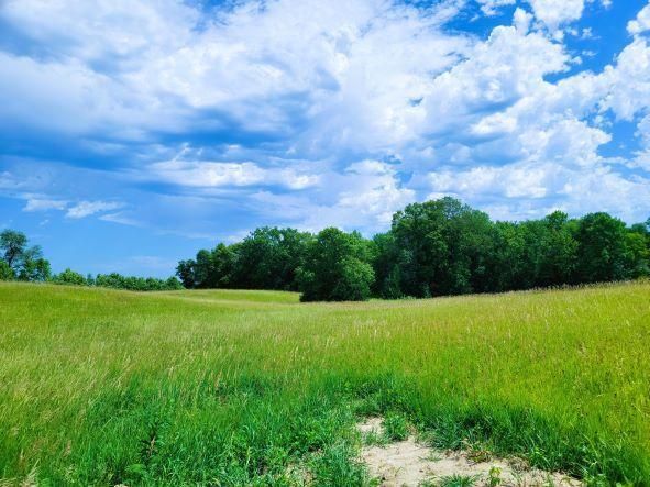 Lot 1 270th St, Chisago City, MN 55013