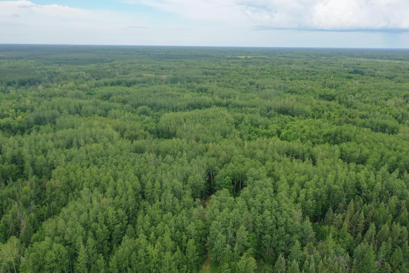 6021 Hwy 5, Alborn, MN 55702