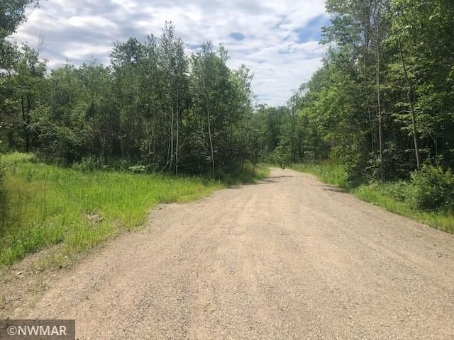 31097 480th St, Cass Lake, MN 56633