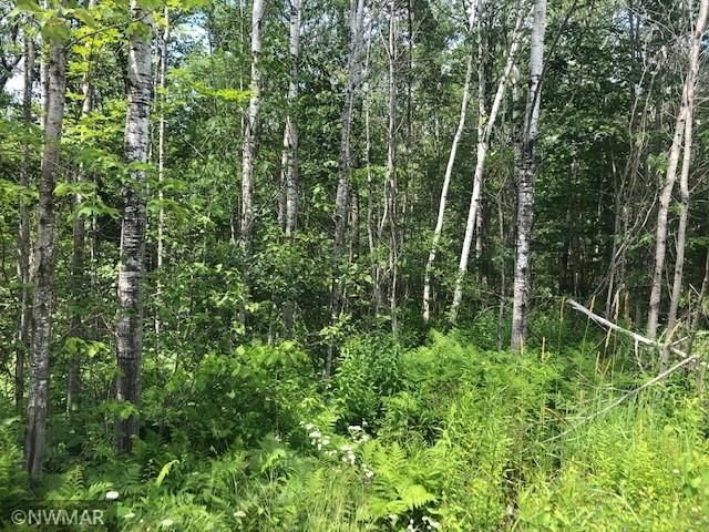 31097 480th St, Cass Lake, MN 56633
