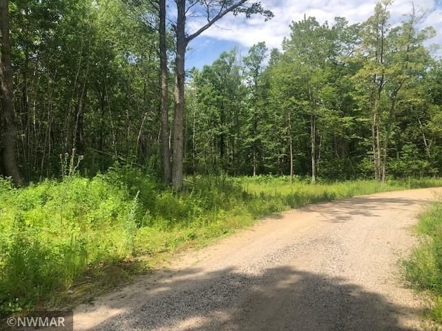 31097 480th St, Cass Lake, MN 56633