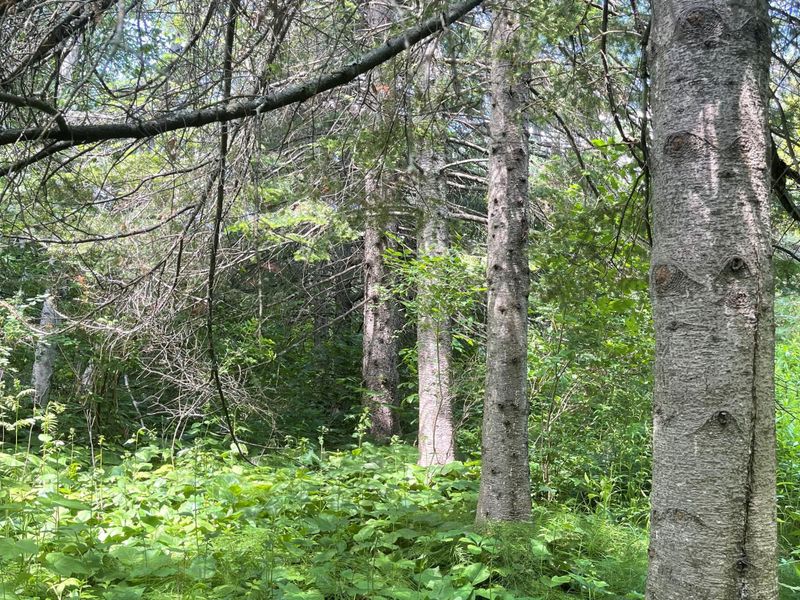 6XXX Pleasant View Rd, Duluth, MN 55803