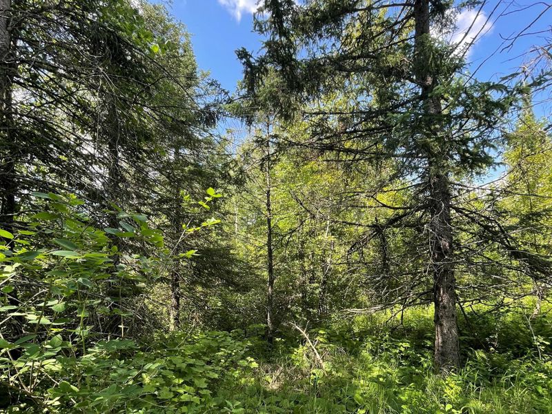 6XXX Pleasant View Rd, Duluth, MN 55803