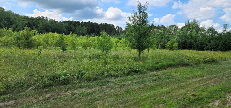 Lot 2 619th Ave, Ellsworth, WI 54011