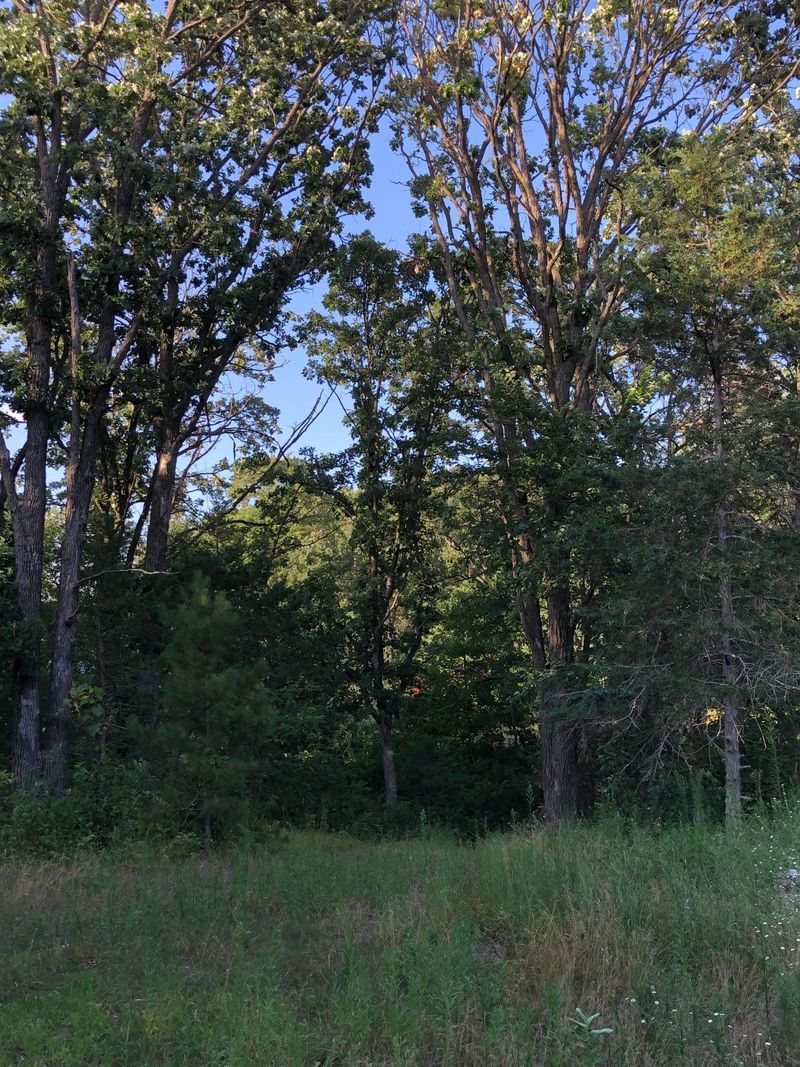 XXXXX 167th St NW, Big Lake, MN 55309