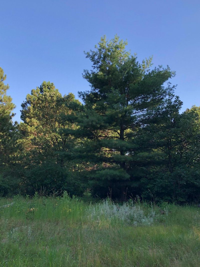 XXXXX 167th St NW, Big Lake, MN 55309