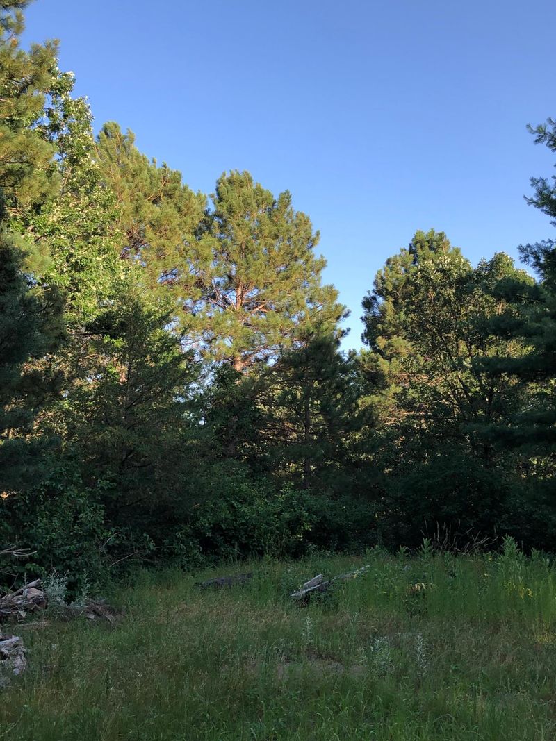 XXXXX 167th St NW, Big Lake, MN 55309