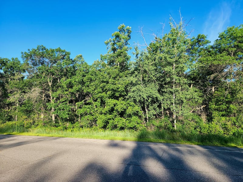 XXX County 78, Lake Shore, MN 56468