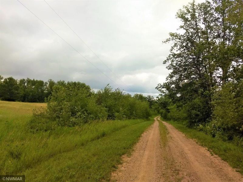 TBD Zion Rd, Bagley, MN 56621