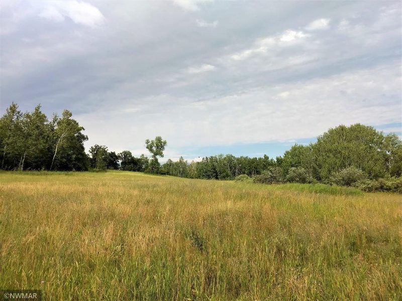 TBD Zion Rd, Bagley, MN 56621