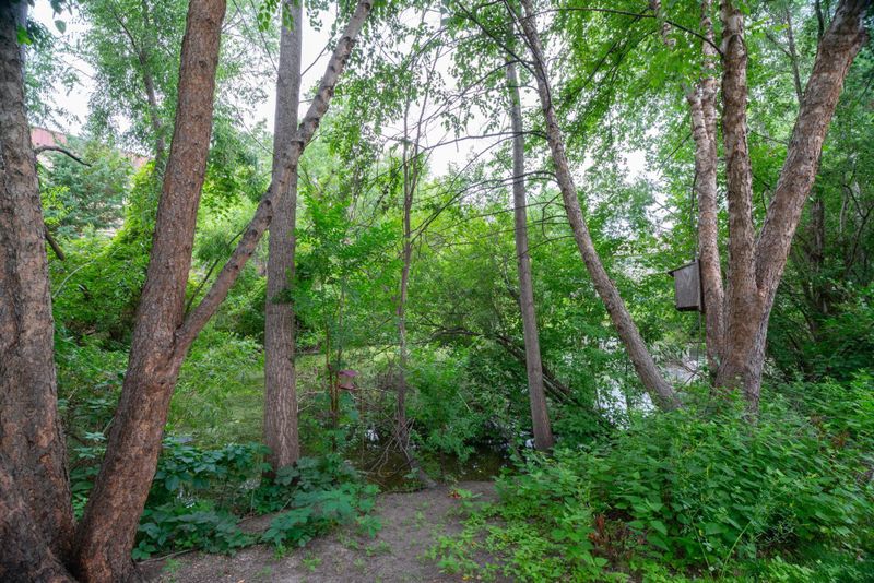 332 Heritage Trl, Circle Pines, MN 55014