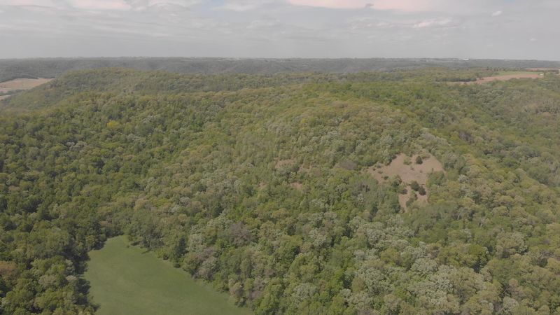 TBD Stinson Rd, Houston, MN 55943