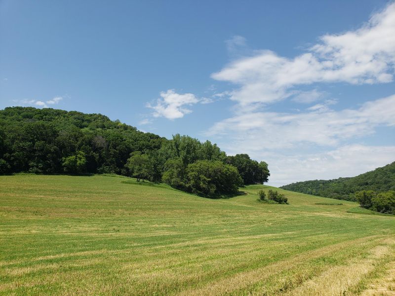 TBD Stinson Rd, Houston, MN 55943