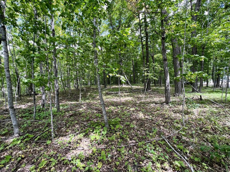 TBD Adam's Point Trl, Frazee, MN 56544