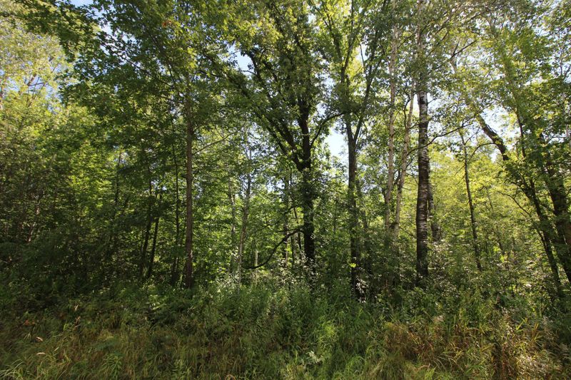 1115 230th Ave, Ogilvie, MN 56358