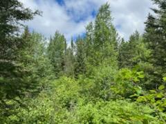 TBD Rollins Rd, Brimson, MN 55602