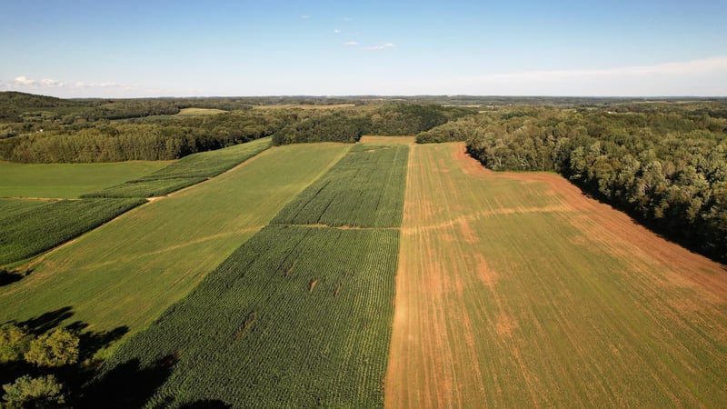114 acres County Rd M, Elk Mound, WI 54739