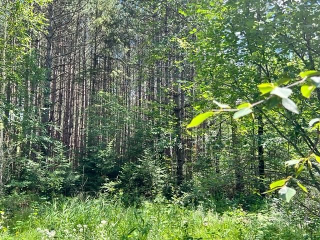 7928 Comet Rd, Embarrass, MN 55732