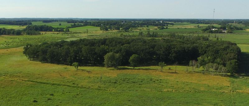 XX Parcel B 220th St, Long Prairie, MN 56347