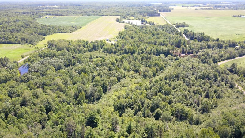 16XX Kenyon Creek Rd, Exeland, WI 54835