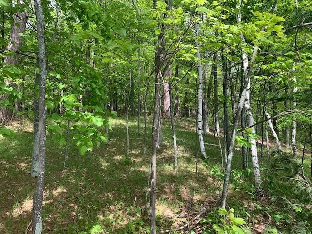 TBD N Shoal Lake Rd, Grand Rapids, MN 55744