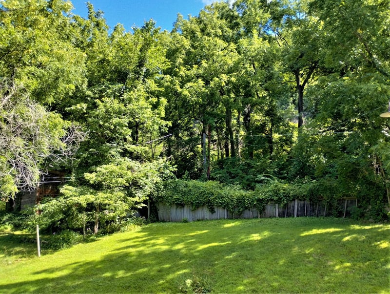 109 S 2nd St, Alma, WI 54610
