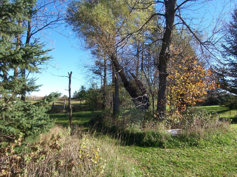 61389 Hammond Rd, Finlayson, MN 55735