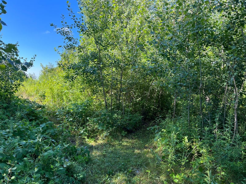2001 Broadway St, Marine On Saint Croix, MN 55047