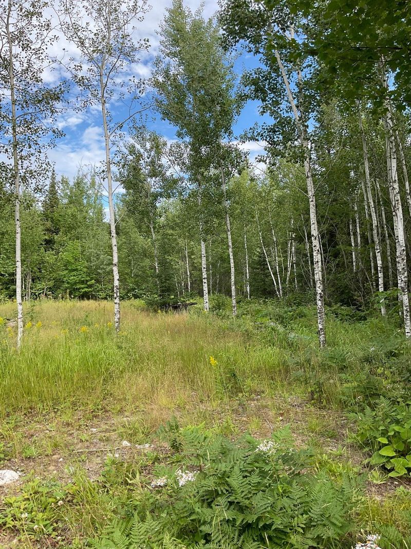 2340 Blue Rock Rd, Cook, MN 55723