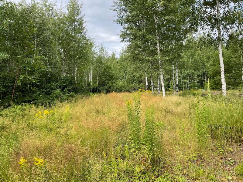 2340 Blue Rock Rd, Cook, MN 55723