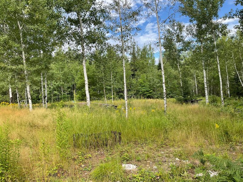 2340 Blue Rock Rd, Cook, MN 55723