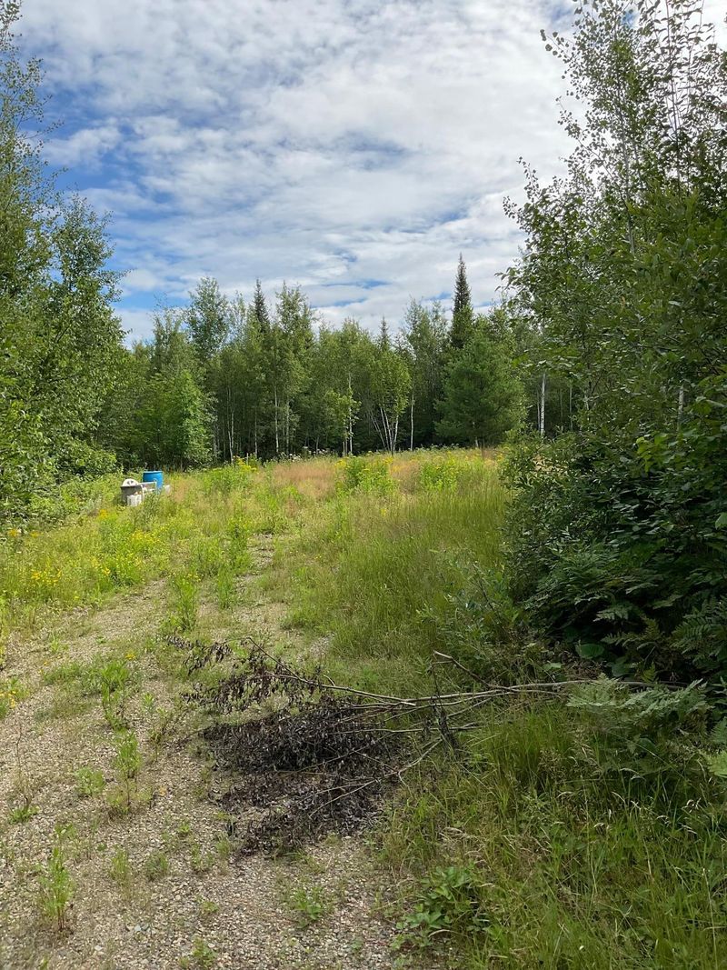 2340 Blue Rock Rd, Cook, MN 55723