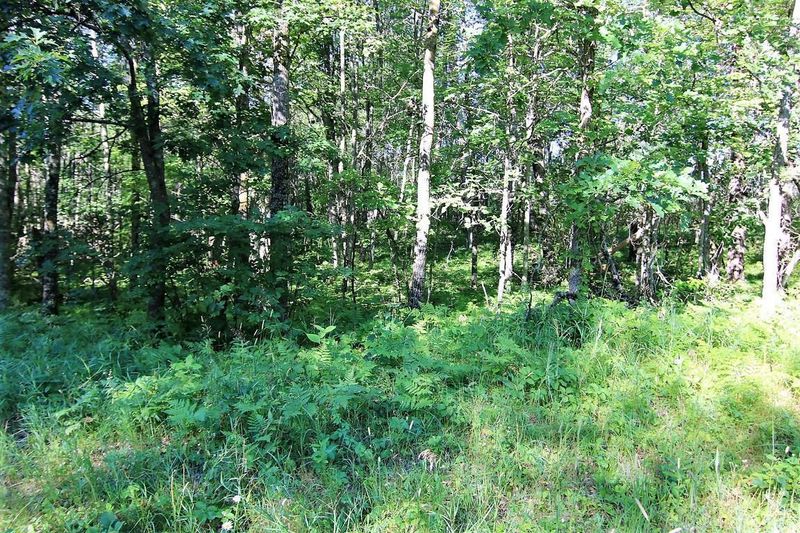 L10 B2 WB15 White Overlook Dr, Breezy Point, MN 56472